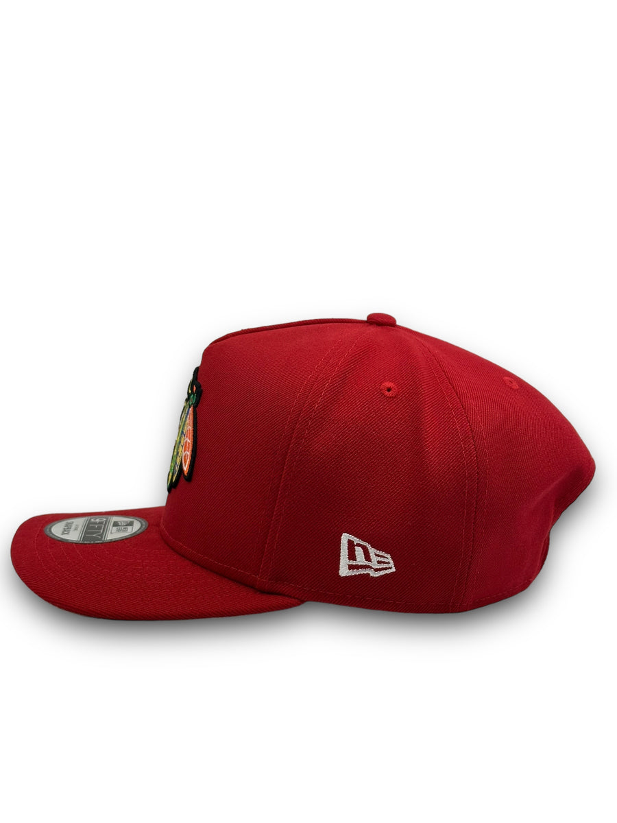 940 A-FRAME CHICAGO BLACKHAWKS main image 0
