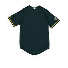 Load image into Gallery viewer, 2024 LMB Pericos de Puebla Green Home Game Jersey - Green