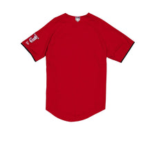 Load image into Gallery viewer, 2024 LMB Toros de Tijuana Alternate Game Jersey - Red
