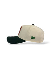 Load image into Gallery viewer, 9Forty A-Frame Snapback Mexico World Baseball Classic Chrome/Dk Green - Grey UV
