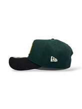 Load image into Gallery viewer, Burdeens x Ali Six [TAINO COQUI] 9Forty A-Frame 2T Dark Green/Black - Pink UV
