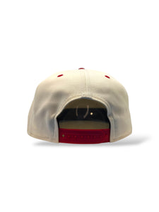 9Fifty Snapback Philadelphia Phillies "Phillie Phanatic" Pin 2-Tone - Gray UV