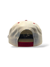 Load image into Gallery viewer, 9Fifty Snapback St. Louis Cardinals &quot;Fredbird&quot; Pin 2-Tone - Gray UV
