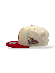 9Fifty Snapback St. Louis Cardinals "Fredbird" Pin 2-Tone - Gray UV