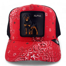 Load image into Gallery viewer, [ALPHA] - Goorin Bros &quot;Without Warning&quot; Adjustable Trucker Hat
