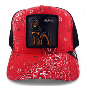 [ALPHA] - Goorin Bros "Without Warning" Adjustable Trucker Hat