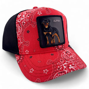 [ALPHA] - Goorin Bros "Without Warning" Adjustable Trucker Hat