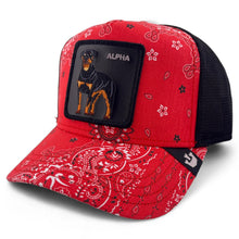 Load image into Gallery viewer, [ALPHA] - Goorin Bros &quot;Without Warning&quot; Adjustable Trucker Hat
