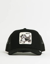 Load image into Gallery viewer, [BESTIE] - Goorin Bros &quot;The Bestie Dog&quot; Adjustable Trucker Hat
