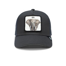 Load image into Gallery viewer, [BIG] - Goorin Bros &quot;The Big Elephant&quot; Adjustable Trucker Hat
