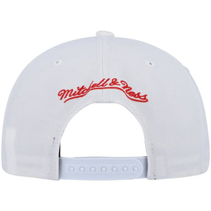 Mitchell & Ness Original Fit Chicago Bulls 1991 NBA Champions Snapback Hat - Green UV
