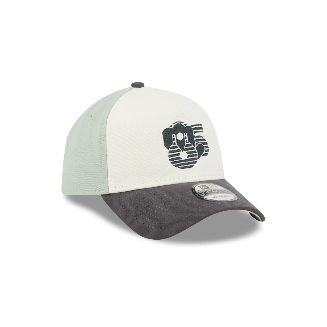 9Forty A-Frame Snapback LMB Diablos Rojos Del Mexico White/Mint- Grey UV