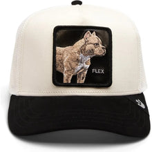 Load image into Gallery viewer, [FLEX] - Goorin Bros &quot;The Suede Pitbull&quot; Adjustable Trucker Hat
