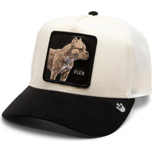 Load image into Gallery viewer, [FLEX] - Goorin Bros &quot;The Suede Pitbull&quot; Adjustable Trucker Hat

