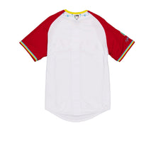 Load image into Gallery viewer, 2024 LMB Guerreros de Oaxaca Alternate 2 Game Jersey - White
