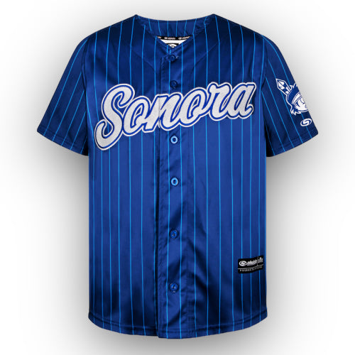 Blue/grey yaquis de Obregon jersey